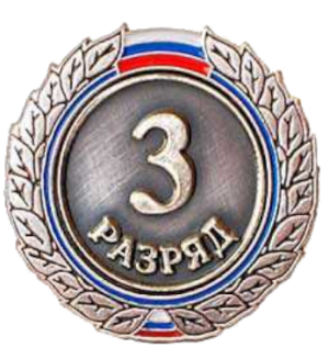 3 разряд
